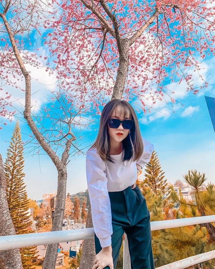 Những mùa hoa nở rộ cuối năm khiến tín đồ du lịch đứng ngồi không yên-3