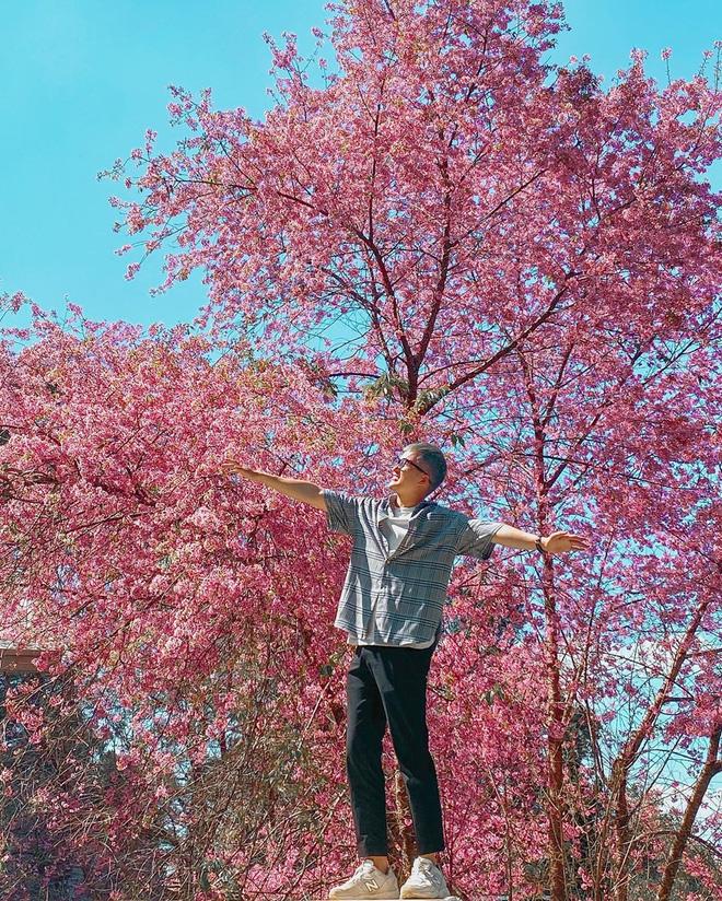 Những mùa hoa nở rộ cuối năm khiến tín đồ du lịch đứng ngồi không yên-6