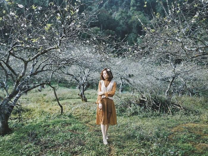 Những mùa hoa nở rộ cuối năm khiến tín đồ du lịch đứng ngồi không yên-9