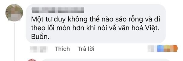 Cộng đồng mạng thất vọng với trang phục của siêu anh hùng Việt Nam-2