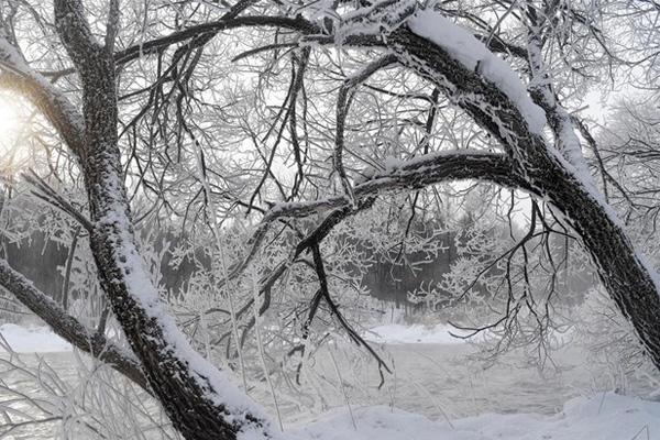 Hiệu sách đẹp tựa lâu đài ma thuật ở Trung Quốc-1