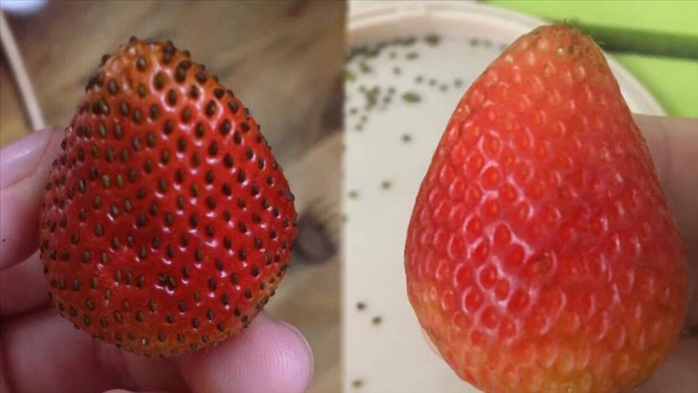 Những pha rảnh rỗi sinh nông nổi, hết ngồi phân loại hạt trong gói cà phê đến tách hạt thanh long-2