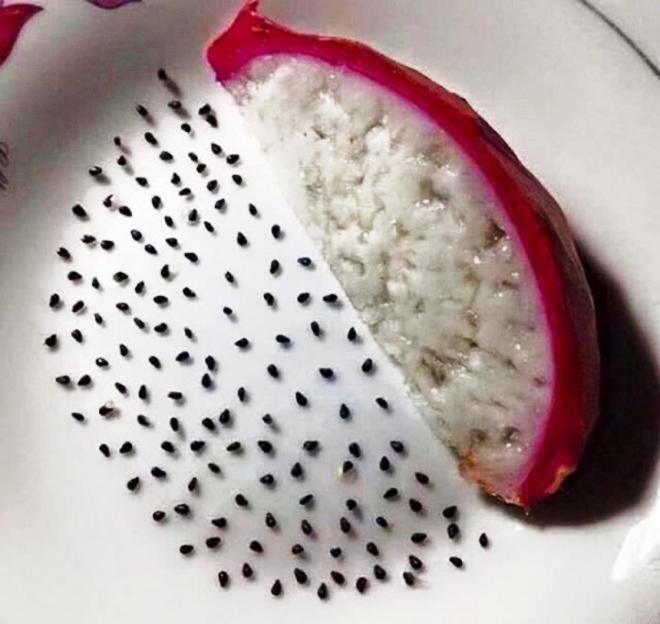 Những pha rảnh rỗi sinh nông nổi, hết ngồi phân loại hạt trong gói cà phê đến tách hạt thanh long-10