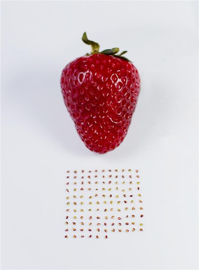 Những pha rảnh rỗi sinh nông nổi, hết ngồi phân loại hạt trong gói cà phê đến tách hạt thanh long-11