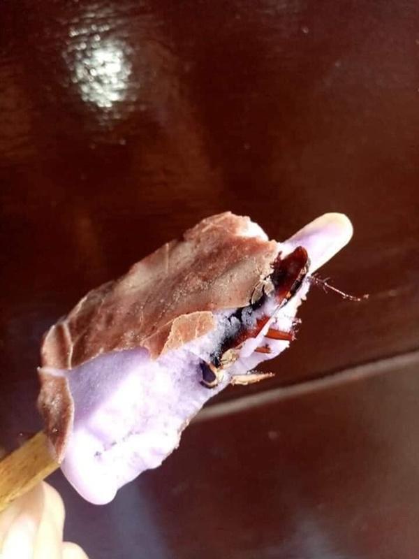 Cắn ngập răng que kem mát lạnh, cô gái giật mình khi phát hiện ra nguyên chú gián béo ngậy-2