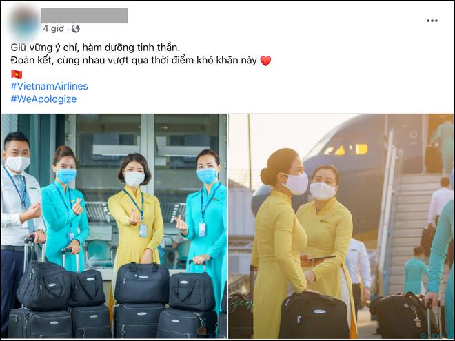 Tiếp viên Vietnam Airlines bị ném tàn thuốc, trứng gà khi đi ngoài đường?-8