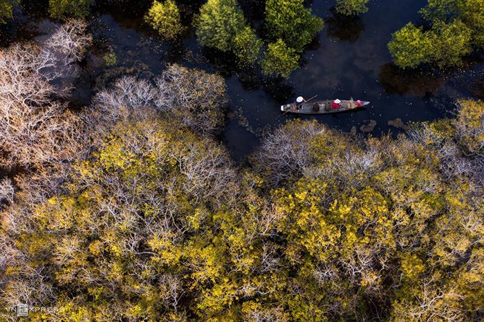 Chỉ muốn xách balo và đi ngay khi nghe tên 4 khu rừng đẹp xuất sắc này-1