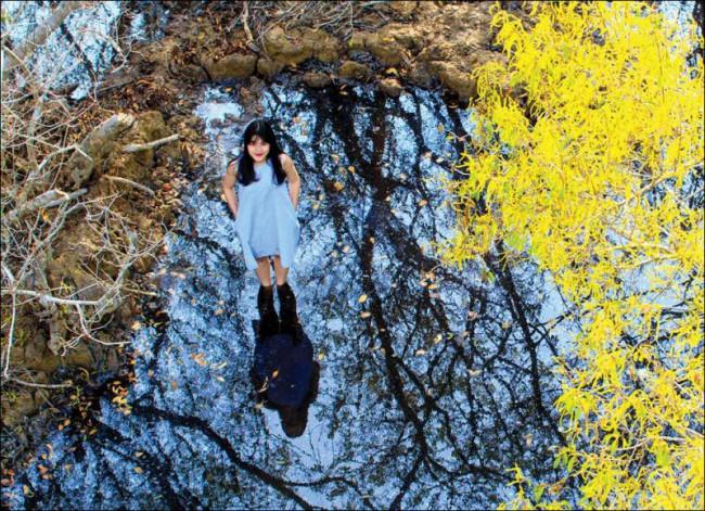 Chỉ muốn xách balo và đi ngay khi nghe tên 4 khu rừng đẹp xuất sắc này-5