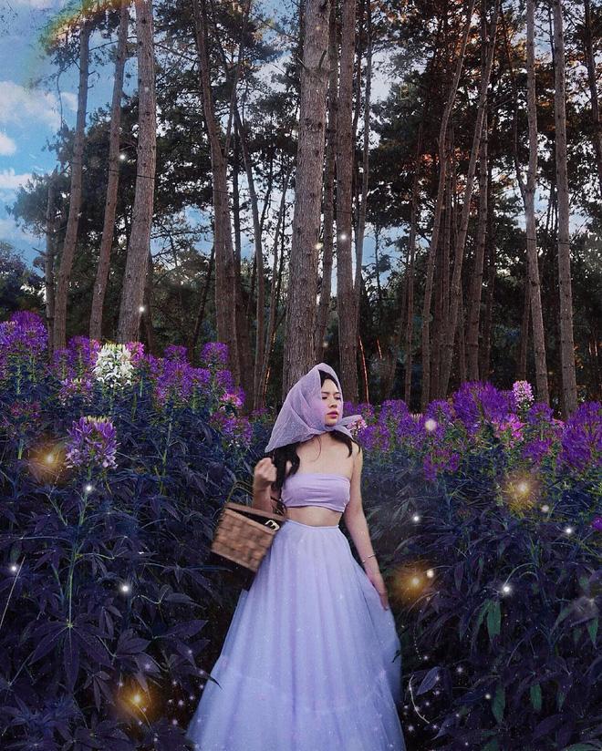 Chỉ muốn xách balo và đi ngay khi nghe tên 4 khu rừng đẹp xuất sắc này-7