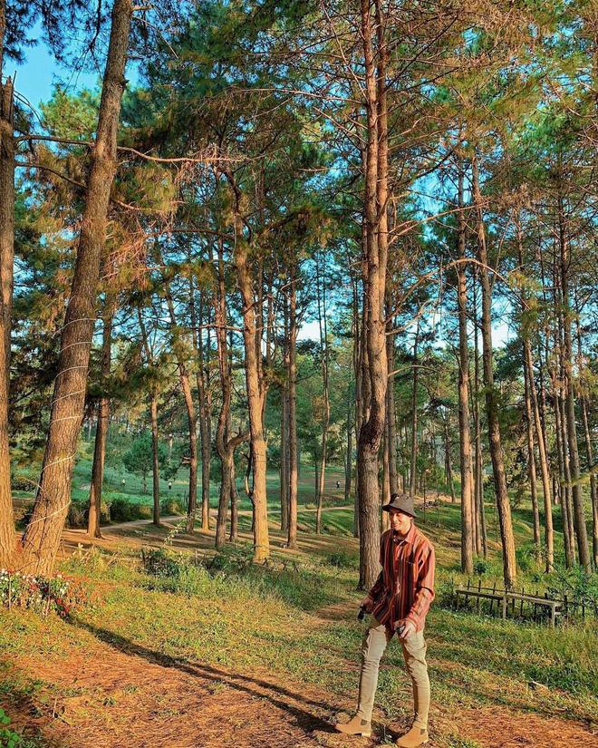 Chỉ muốn xách balo và đi ngay khi nghe tên 4 khu rừng đẹp xuất sắc này-8