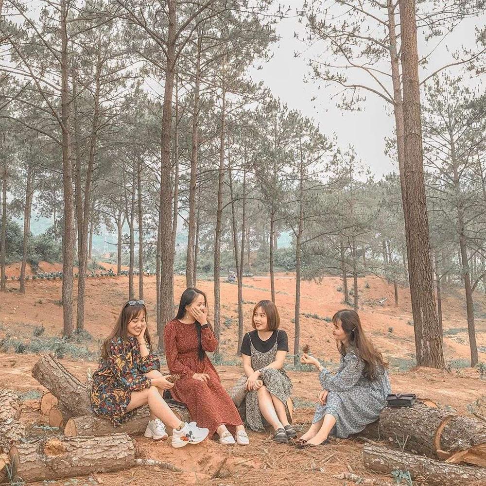 Chỉ muốn xách balo và đi ngay khi nghe tên 4 khu rừng đẹp xuất sắc này-9