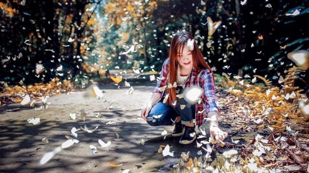 Chỉ muốn xách balo và đi ngay khi nghe tên 4 khu rừng đẹp xuất sắc này-12