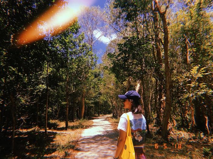 Chỉ muốn xách balo và đi ngay khi nghe tên 4 khu rừng đẹp xuất sắc này-16