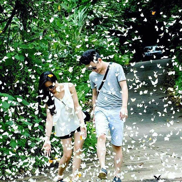 Chỉ muốn xách balo và đi ngay khi nghe tên 4 khu rừng đẹp xuất sắc này-14