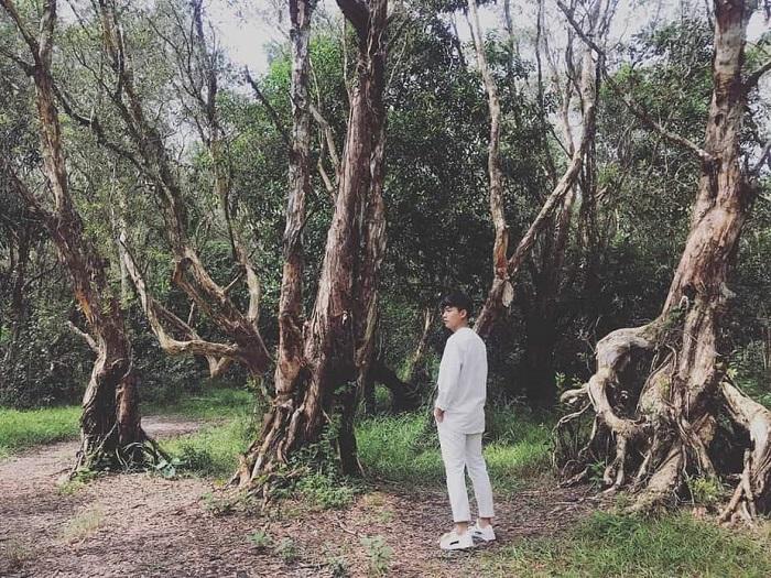 Chỉ muốn xách balo và đi ngay khi nghe tên 4 khu rừng đẹp xuất sắc này-17