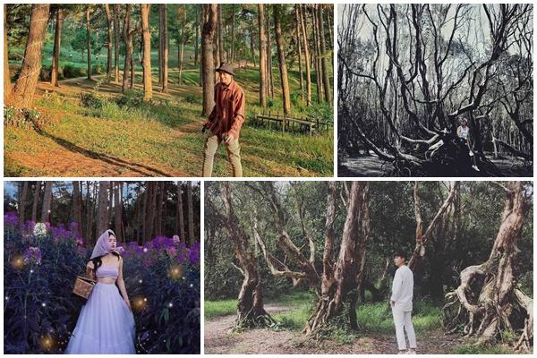 Du khách nhường chỗ cho hải cẩu tắm nắng-1