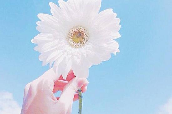 Tử vi thứ Sáu ngày 4/12/2020 của 12 con giáp: Hợi cần chăm chỉ, Tý nóng vội hỏng việc