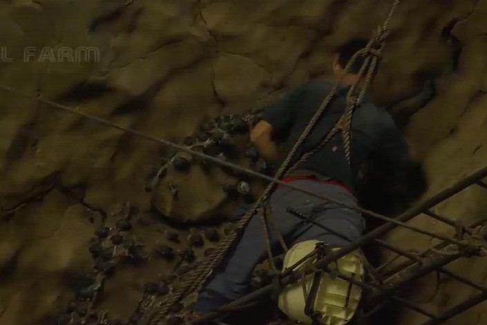 Những người nào không nên dùng tổ yến?-2