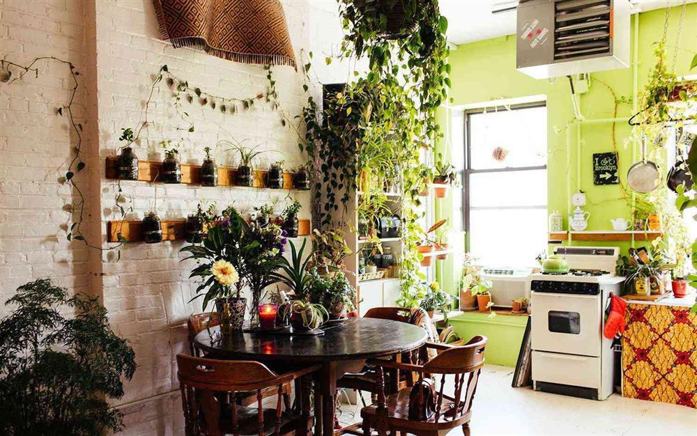 Nếu khu bếp đặt loại cây phong thủy này, gia chủ sẽ lên như diều gặp gió-4