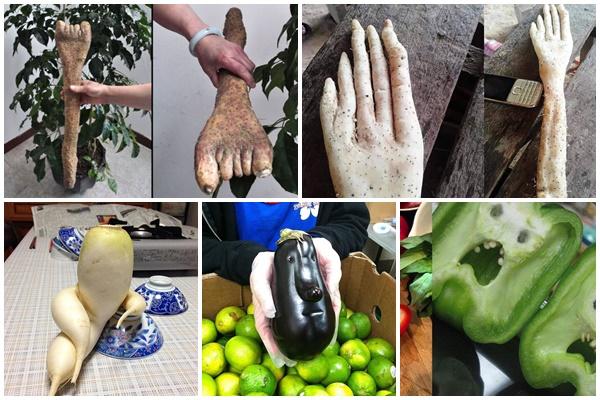 Những loại rau củ quả với hình thù độc lạ như từ hành tinh khác đến-15