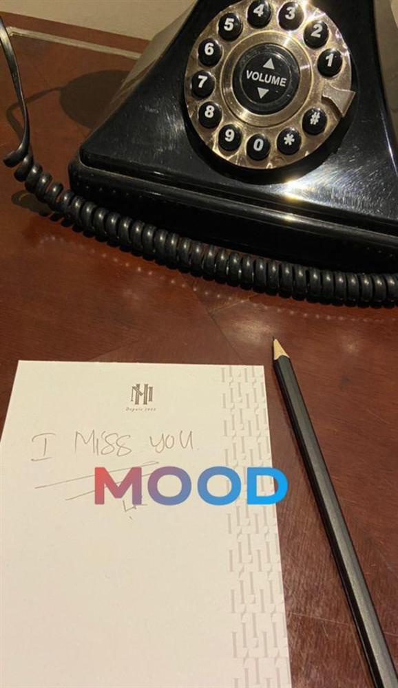 Tổng tài Phillip Nguyễn bật mode cuồng bồ, mang hình Linh Rin rải khắp cõi mạng-3