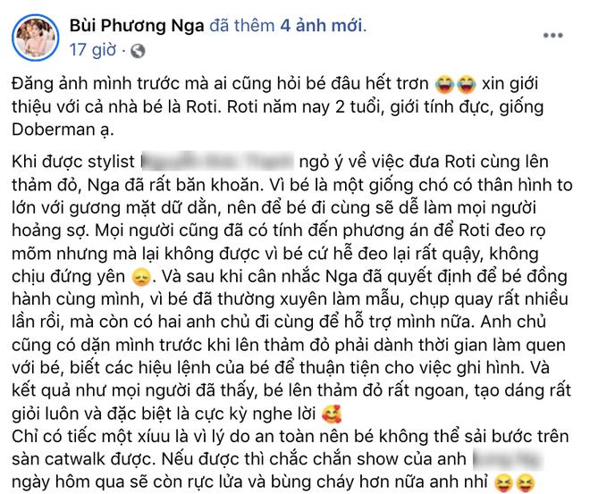 Phương Nga lên tiếng giải thích việc mang chó không đeo rọ mõm lên thảm đỏ-1