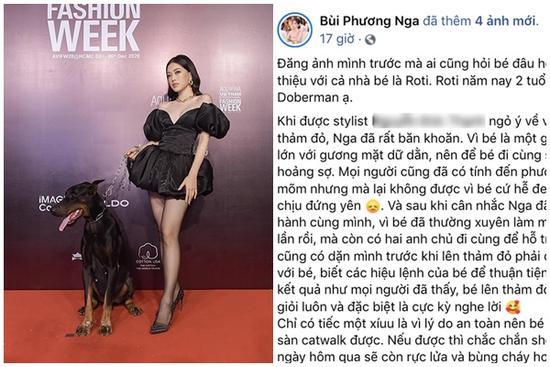 Phương Nga lên tiếng giải thích việc mang chó không đeo rọ mõm lên thảm đỏ