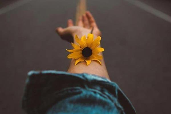 Tử vi tuần mới 12 con giáp từ ngày 07/12 đến 13/12/2020: Ai mới là người may mắn?-5