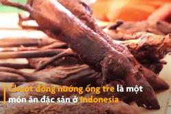 Món chuột đồng nướng ống tre ở Indonesia