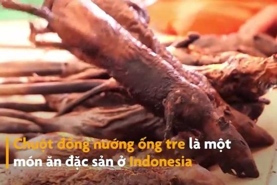 Món chuột đồng nướng ống tre ở Indonesia