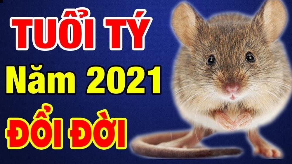 Tử vi người tuổi Tý năm 2021: Vận khí hanh thông, hứa hẹn đón nhiều điều tốt đẹp bất ngờ-1