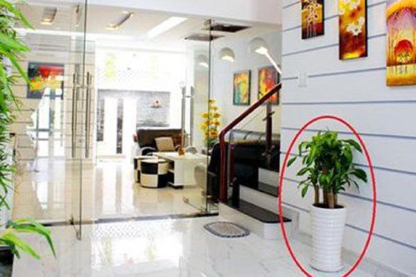 Tuần mới, 3 con giáp cực kì hanh thông, làm gì cũng có quý nhân nâng đỡ-4