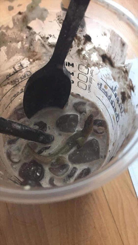 Cô gái uống gần cạn cốc trà sữa mới phát hiện ra vật thể lạ, tệ nhất là mùi vị thum thủm rùng mình-2