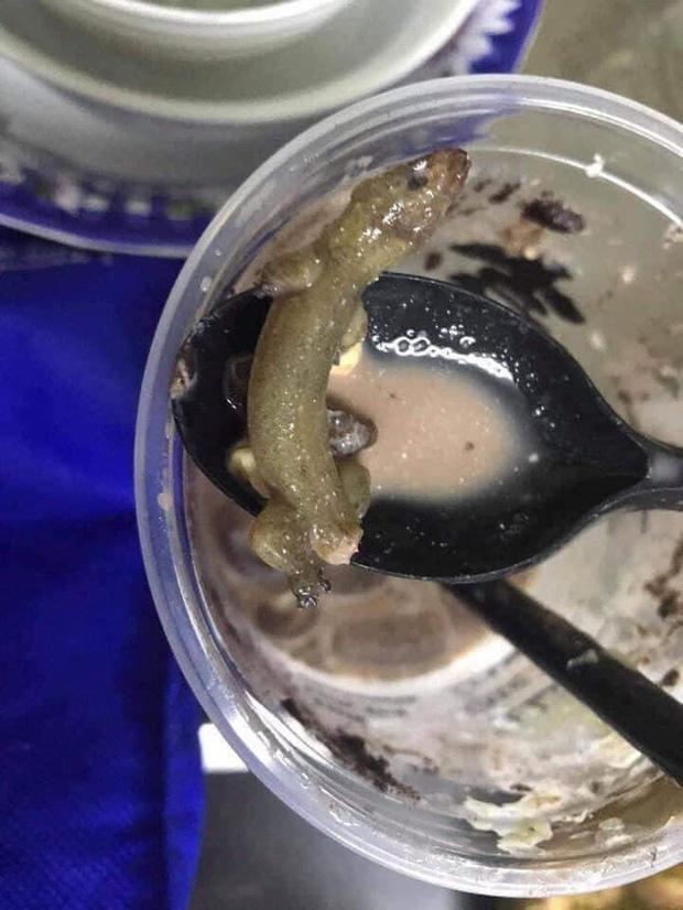 Cô gái uống gần cạn cốc trà sữa mới phát hiện ra vật thể lạ, tệ nhất là mùi vị thum thủm rùng mình-3