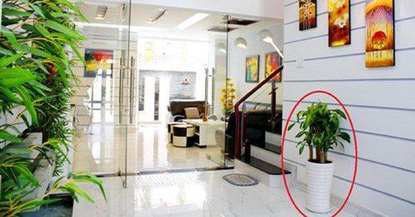 Cách thay đổi phong thủy giúp gia chủ thêm may mắn, giải trừ vận đen trong nhà-2