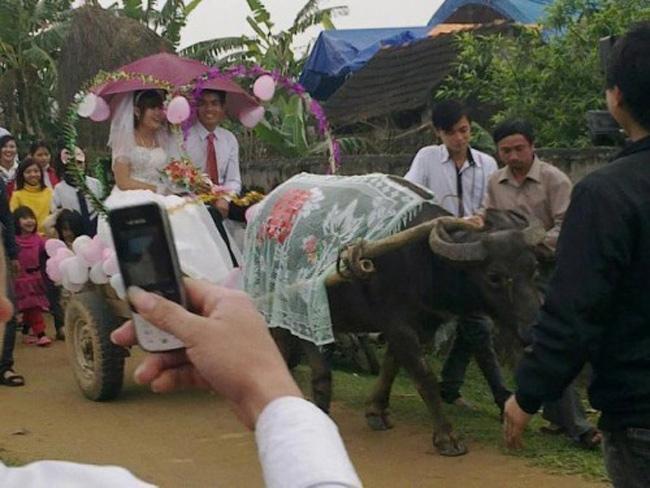 Màn rước dâu lạ lùng: Cả họ nhà trai gồng mình đẩy cô dâu và dàn bê tráp trên xe rùa vã cả mồ hôi-8