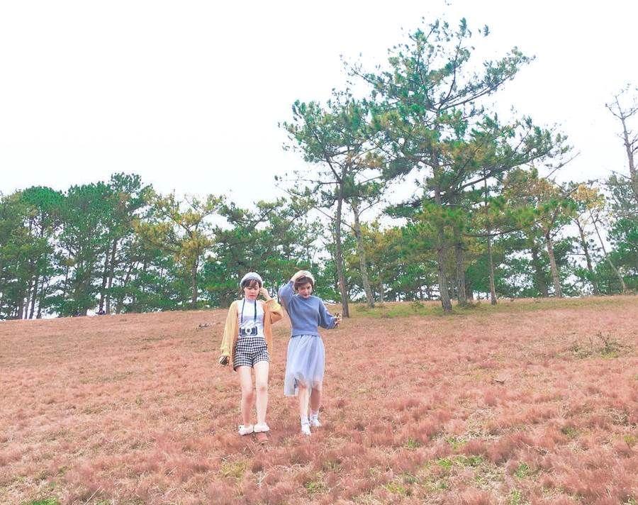 Ngẩn ngơ mùa cỏ hồng Đà Lạt đẹp như tranh vẽ-10