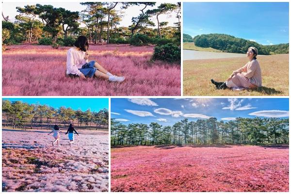 Hoa ban sắp vào mùa, Đà Lạt phủ trắng màu tinh khôi-12