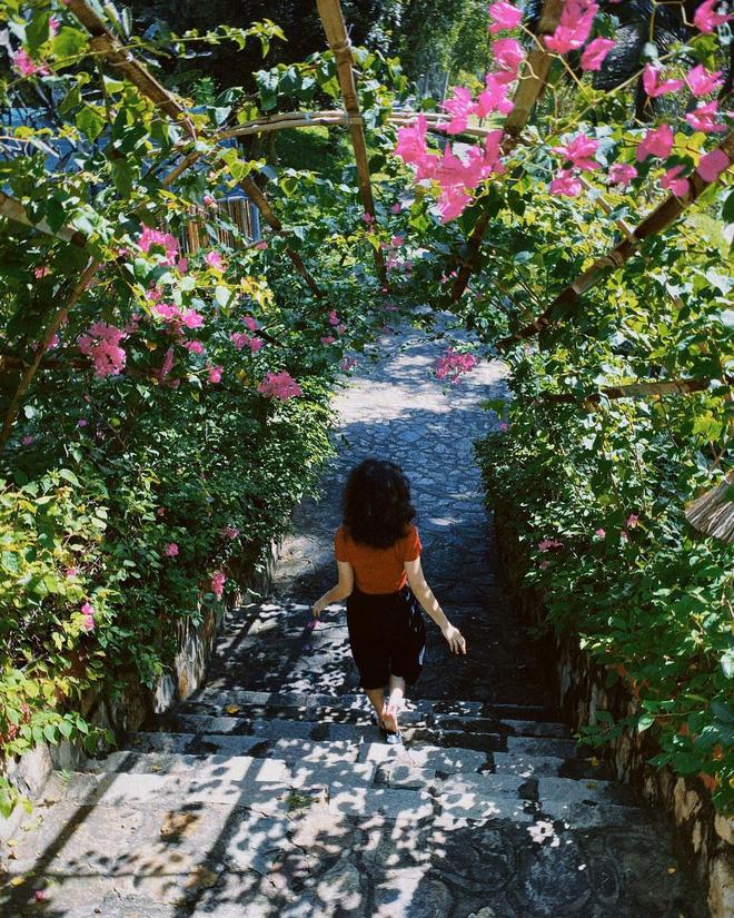 Con gái út nhà diva Mỹ Linh lần đầu khoe dáng với bikini, sức sống tuổi 18 chính là điểm nhấn-4