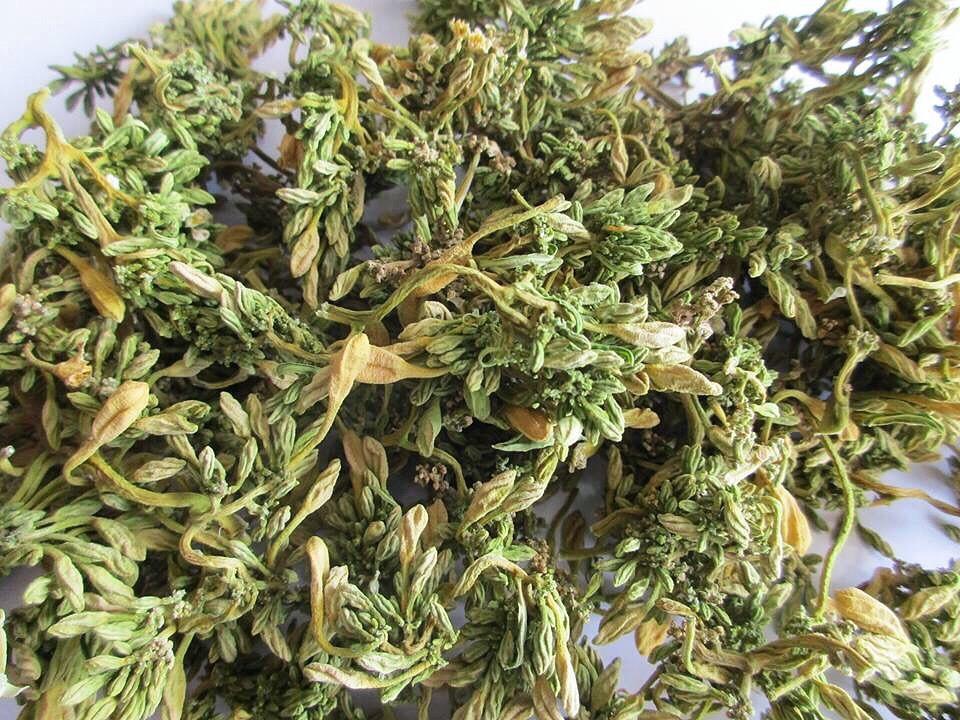 Thứ quà dân dã ở quê thì chả ai ăn nhưng dân Hà thành lại phát sốt-5