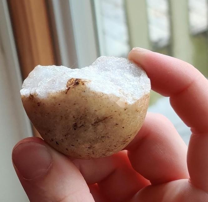 Muôn cú lừa từ mẹ thiên nhiên khiến ai cũng tự hỏi liệu đây có phải sản phẩm photoshop?-2