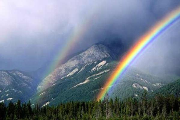 Năm 2021 của Song Tử: Mua nhà tậu xe, có chỗ dựa tài chính-4