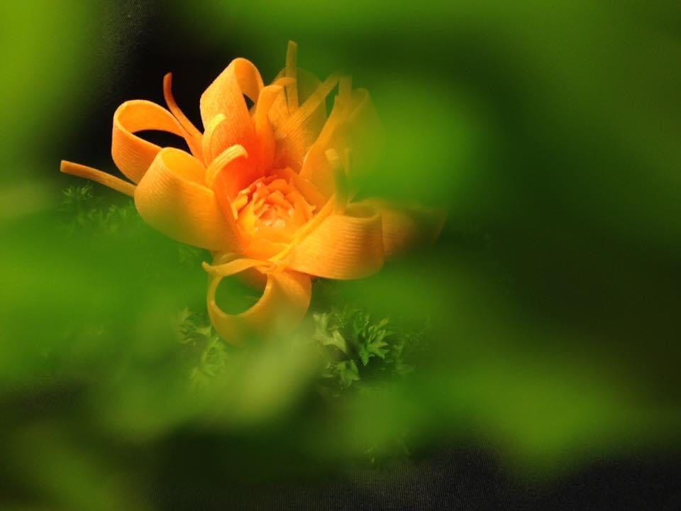 Đam mê mãnh liệt với đu đủ, 9X biến trái cây này thành tác phẩm nghệ thuật đẹp như photoshop-3