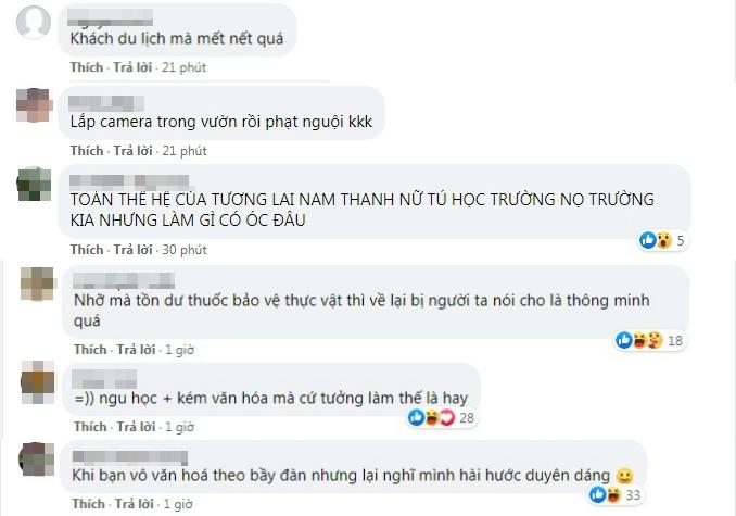 Nhóm khách cắn dở vườn táo như chuột gặm ở Hà Nội, còn để lại bút tích trêu ngươi-4