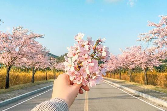 Tử vi 12 cung hoàng đạo thứ Sáu ngày 11/12/2020: Cự Giải may mắn, Xử Nữ bất an