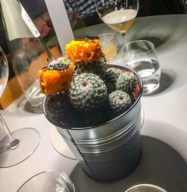 Thực khách hết hồn với phong cách phục vụ món ăn của các nhà hàng-7