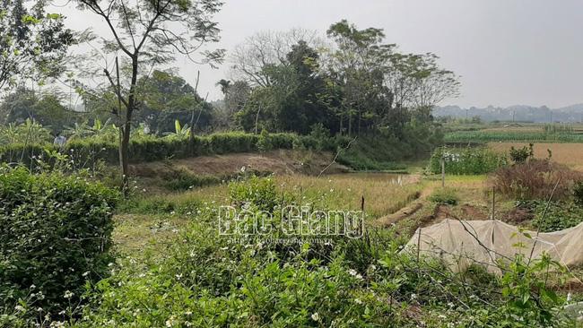 Bắc Giang: Phát hiện đôi nam nữ tử vong bất thường trong lều trông cá-1