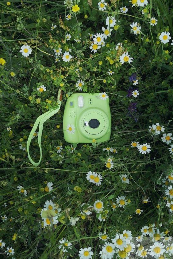 Tử vi 12 cung hoàng đạo Thứ hai ngày 14/12/2020: Xử Nữ đòi hỏi, Bảo Bình gặp sự cố công việc-3