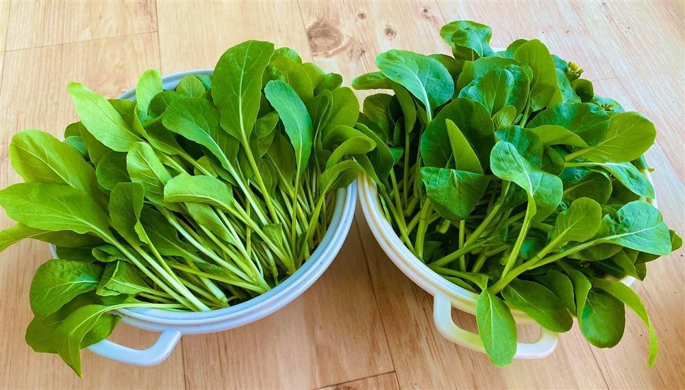 Nàng dâu Việt ở Hàn mát tay trồng đủ loại rau củ xanh rì trên góc ban công vỏn vẹn 3m vuông-6