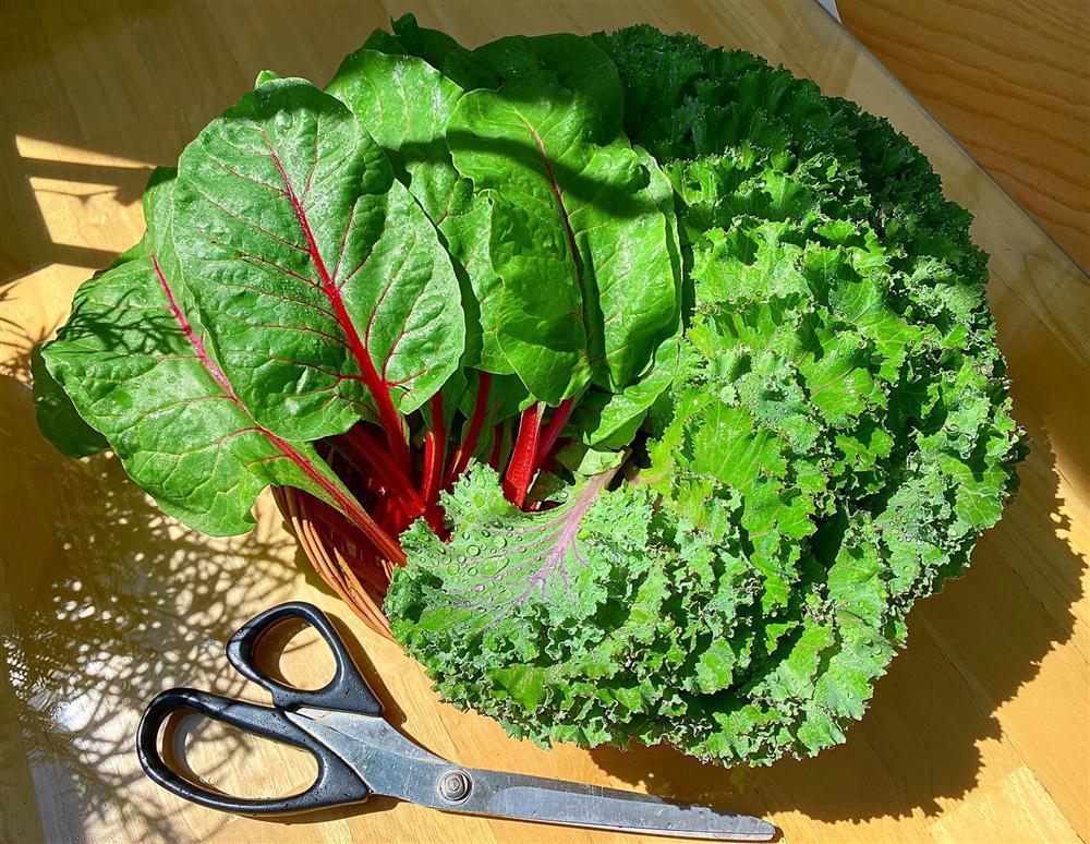 Nàng dâu Việt ở Hàn mát tay trồng đủ loại rau củ xanh rì trên góc ban công vỏn vẹn 3m vuông-10